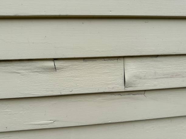 Best Siding for New Construction  in Maywood Park, OR